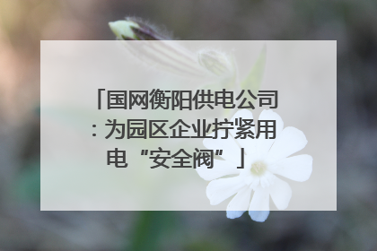 国网衡阳供电公司：为园区企业拧紧用电“安全阀”