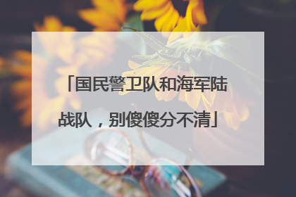 国民警卫队和海军陆战队，别傻傻分不清