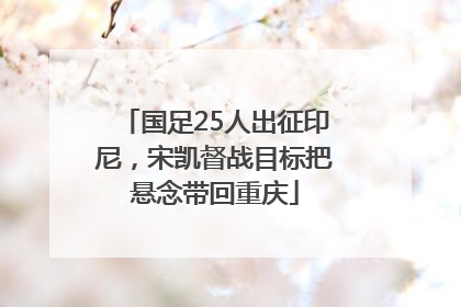 国足25人出征印尼，宋凯督战目标把悬念带回重庆