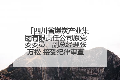 四川省煤炭产业集团有限责任公司原党委委员、副总经理张万松 接受纪律审查和监察调查