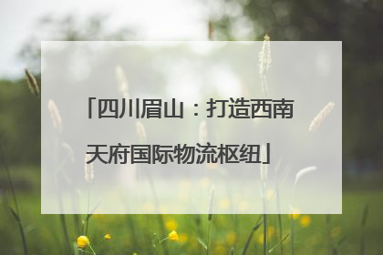 四川眉山：打造西南天府国际物流枢纽