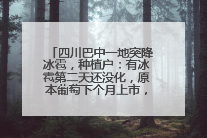 四川巴中一地突降冰雹，种植户：有冰雹第二天还没化，原本葡萄下个月上市，现在全被打落