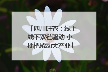 四川旺苍：线上线下双链驱动 小枇杷撬动大产业