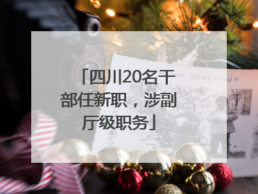 四川20名干部任新职，涉副厅级职务