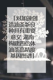 对加速创造油茶新良种具有重要意义 湖南构建四倍体油茶高精度基因图谱