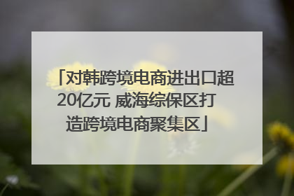 对韩跨境电商进出口超20亿元 威海综保区打造跨境电商聚集区