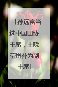孙远富当选中国田协主席，王晓莹增补为副主席