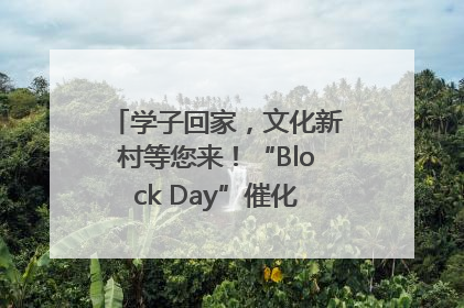 学子回家，文化新村等您来！“Block Day”催化学院式街区新生态