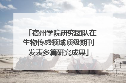 宿州学院研究团队在生物传感领域顶级期刊发表多篇研究成果