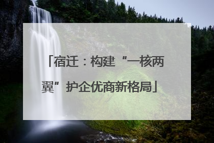 宿迁：构建“一核两翼”护企优商新格局