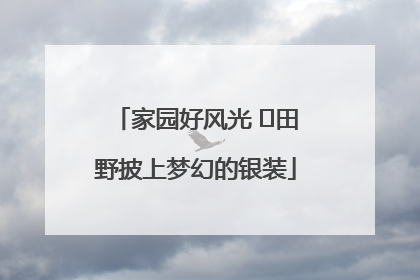 家园好风光 ⎮田野披上梦幻的银装