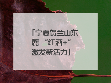 宁夏贺兰山东麓 “红酒+”激发新活力