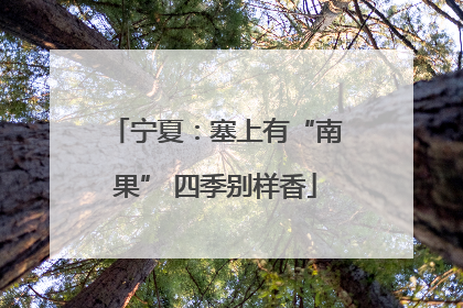 宁夏：塞上有“南果” 四季别样香