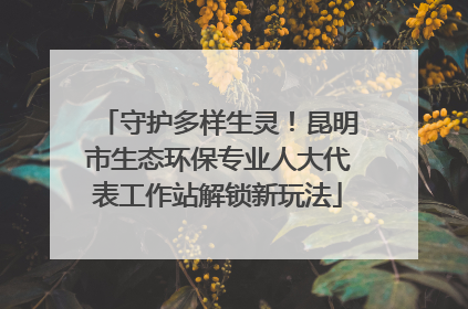 守护多样生灵！昆明市生态环保专业人大代表工作站解锁新玩法