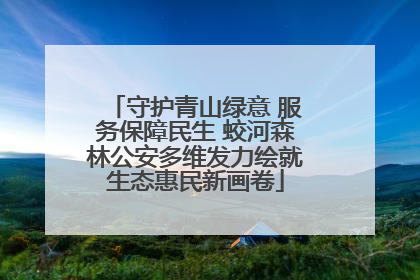 守护青山绿意 服务保障民生 蛟河森林公安多维发力绘就生态惠民新画卷