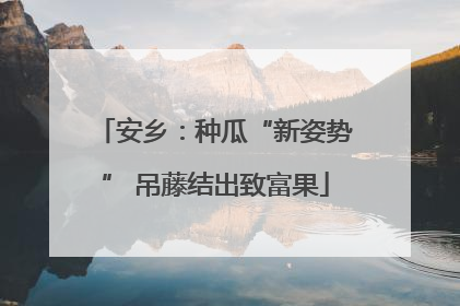 安乡：种瓜“新姿势” 吊藤结出致富果