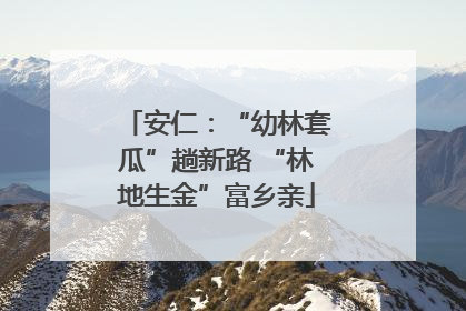 安仁：“幼林套瓜”趟新路 “林地生金”富乡亲