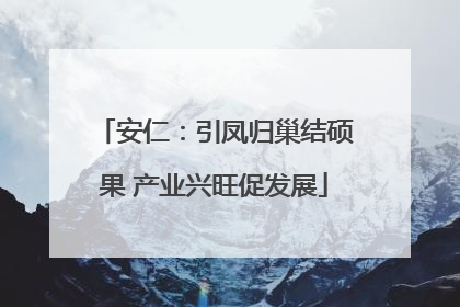 安仁：引凤归巢结硕果 产业兴旺促发展