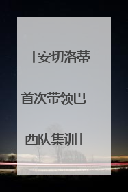 安切洛蒂首次带领巴西队集训
