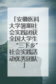 安徽医科大学暑期社会实践团获全国大学生“三下乡”社会实践活动优秀团队