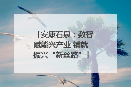 安康石泉：数智赋能兴产业 铺就振兴“新丝路”