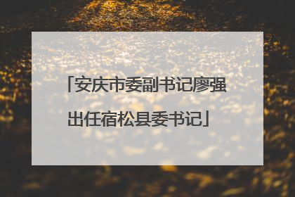 安庆市委副书记廖强出任宿松县委书记