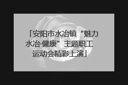 安阳市水冶镇“魅力水冶·健康”主题职工运动会精彩上演