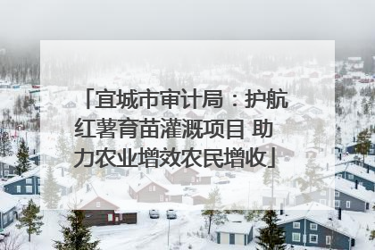 宜城市审计局：护航红薯育苗灌溉项目 助力农业增效农民增收