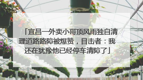 宜昌一外卖小哥顶风雨独自清理道路路障被爆赞，目击者：我还在犹豫他已经停车清障了