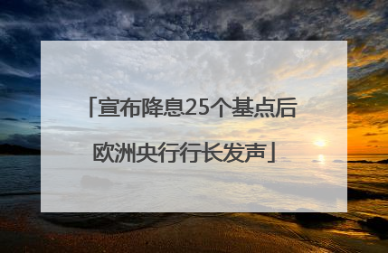 宣布降息25个基点后 欧洲央行行长发声