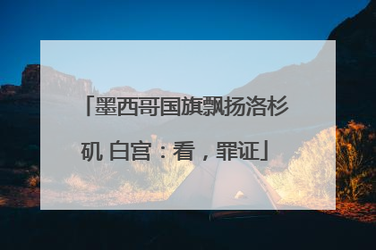 墨西哥国旗飘扬洛杉矶 白宫：看，罪证