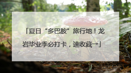 夏日“多巴胺”旅行地！龙岩毕业季必打卡，速收藏→