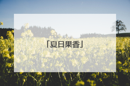 夏日果香