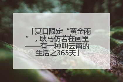 夏日限定“黄金雨”，耿马仿若在画里——有一种叫云南的生活之365天