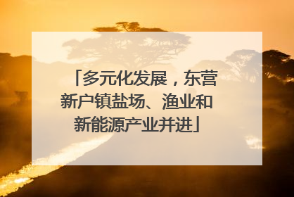 多元化发展，东营新户镇盐场、渔业和新能源产业并进