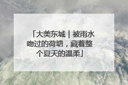 大美东城｜被雨水吻过的荷塘，藏着整个夏天的温柔