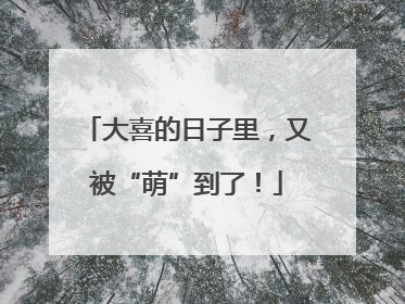 大喜的日子里，又被“萌”到了！