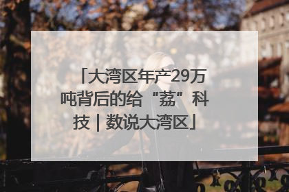 大湾区年产29万吨背后的给“荔”科技｜数说大湾区