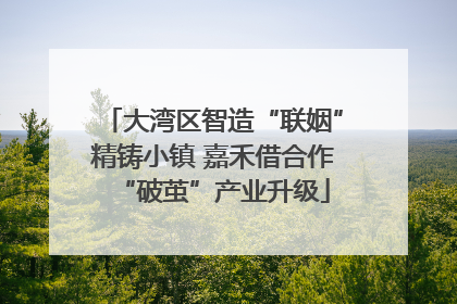 大湾区智造“联姻”精铸小镇 嘉禾借合作“破茧”产业升级