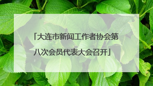 大连市新闻工作者协会第八次会员代表大会召开