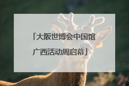 大阪世博会中国馆广西活动周启幕