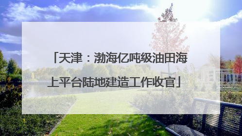 天津：渤海亿吨级油田海上平台陆地建造工作收官