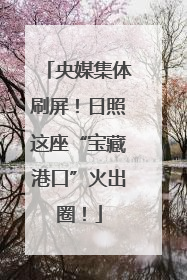 央媒集体刷屏！日照这座“宝藏港口”火出圈！