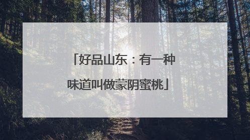 好品山东：有一种味道叫做蒙阴蜜桃