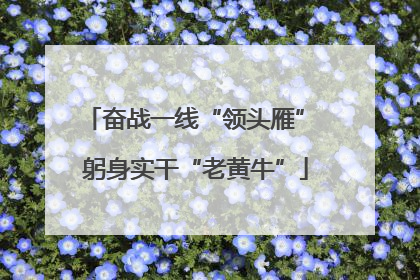 奋战一线“领头雁” 躬身实干“老黄牛”