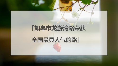 如皋市龙游湾路荣获全国最具人气的路