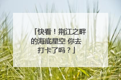 快看！荆江之畔的海底星空 你去打卡了吗？