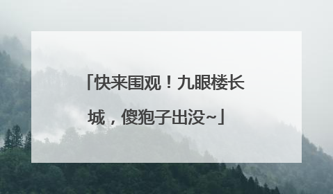 快来围观！九眼楼长城，傻狍子出没~