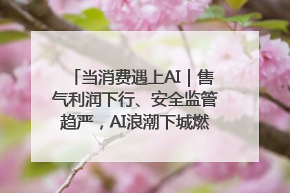 当消费遇上AI｜售气利润下行、安全监管趋严，AI浪潮下城燃企业如何破局