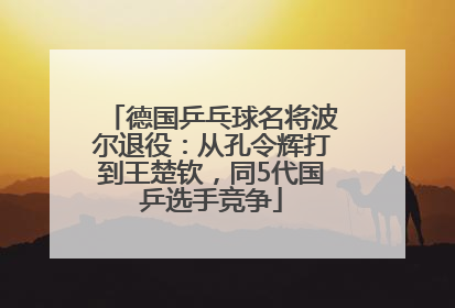 德国乒乓球名将波尔退役：从孔令辉打到王楚钦，同5代国乒选手竞争